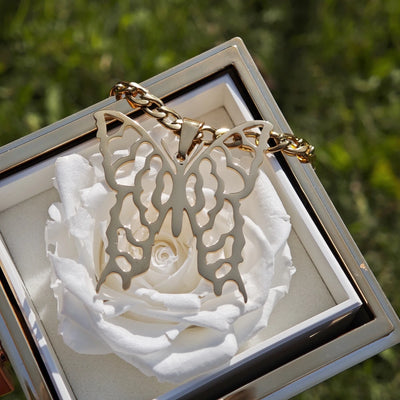 Butterfly Sets